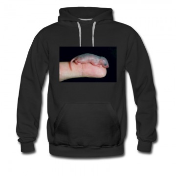 Men's Cute mice lol Hoodie